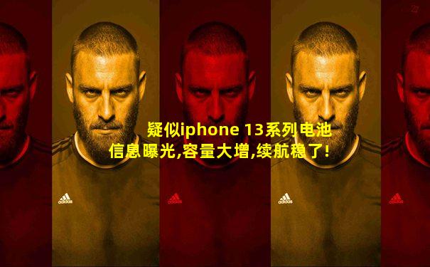 疑似iphone 13系列电池信息曝光,容量大增,续航稳了!